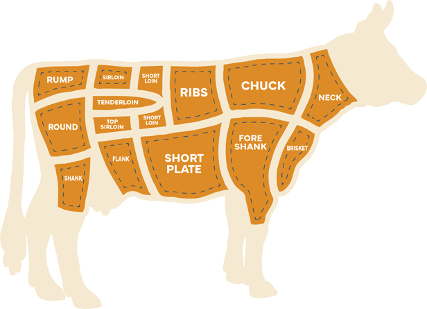 cow illustration showing all cuts