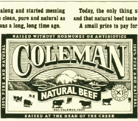 Asset 5 e1733423434211 |