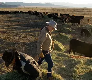 10beef600 e1764621955230 |