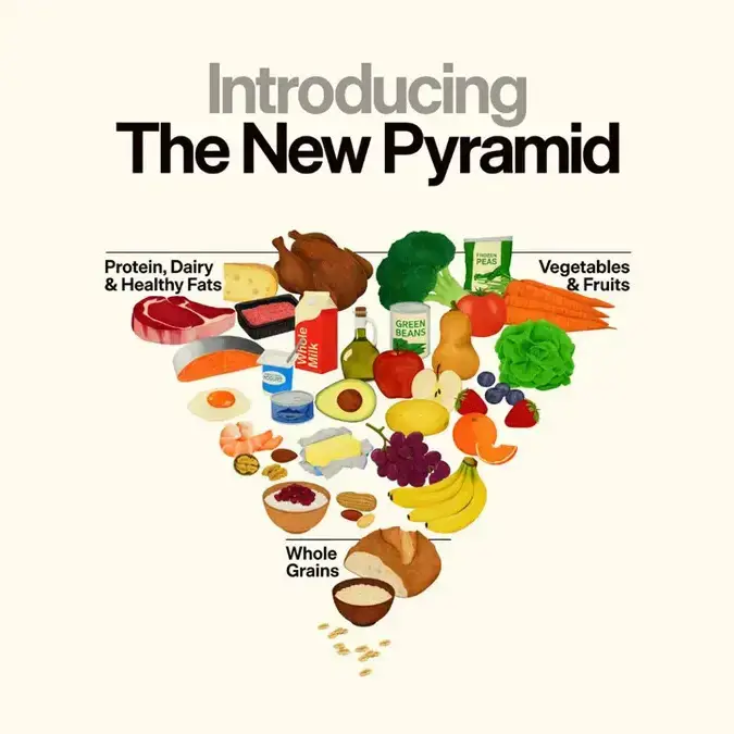 is pork good for you - new food pyramid